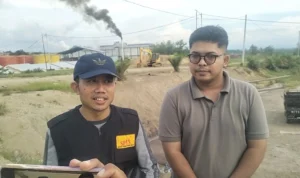 harga tbs mulai normal di Sulbar mateng