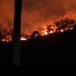 Kebakaran hutan dan lahan di Mamuju Ssulawesi Barat.