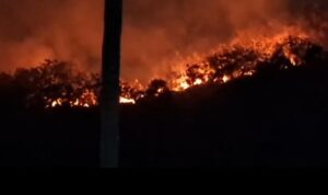 karhutla di mamuju sulawesi barat Kebakaran hutan dan lahan di Mamuju Ssulawesi Barat.
