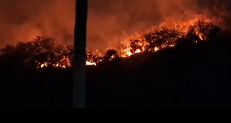Kebakaran hutan dan lahan di Mamuju Ssulawesi Barat.