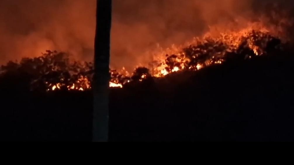 Kebakaran hutan dan lahan di Mamuju Ssulawesi Barat.