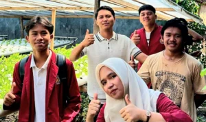 pemuda mamuju sulap lahan sempit jadi cuan 35 juta