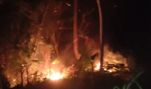 kebakaran-hutan-karhutla-desa-sumare-mamuju-sulbar