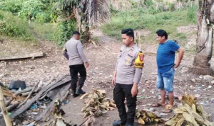 penggerebekan-judi-sabung-polsek-tapalang-mamuju
