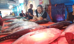 pedagang-ikan-tpi-kasiwa-mamuju